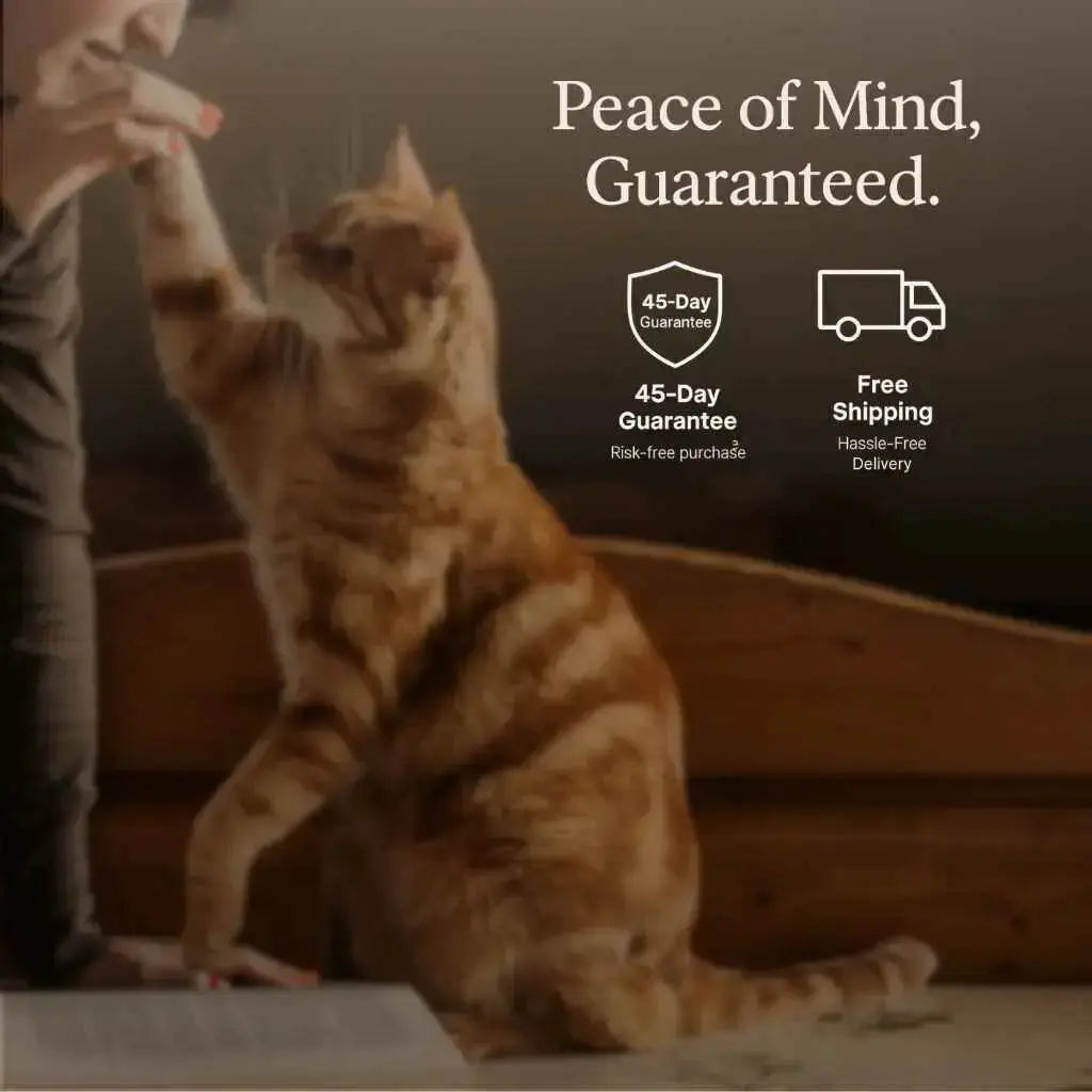 SIPPURE™ Stainless Steel Cat Water Fountain SIPPURE