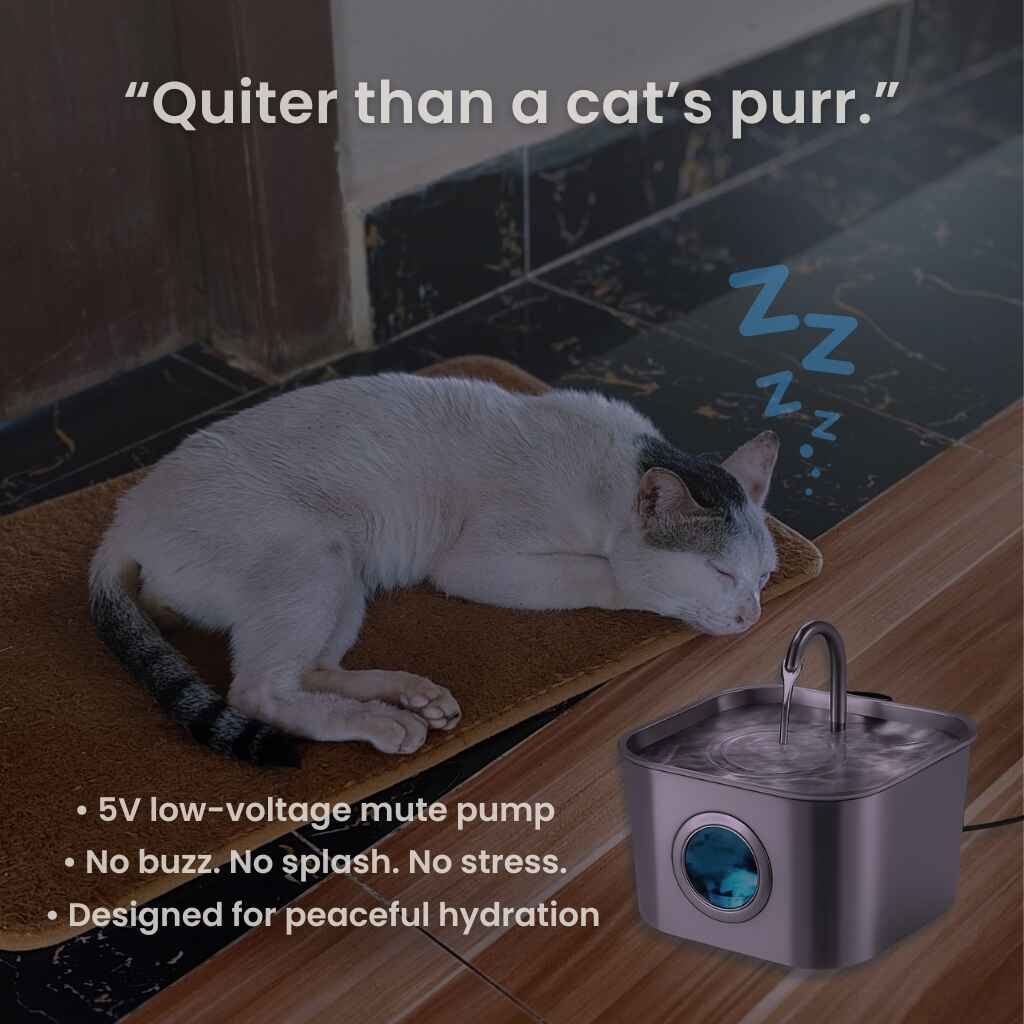SIPPURE™ Stainless Steel Cat Water Fountain SIPPURE