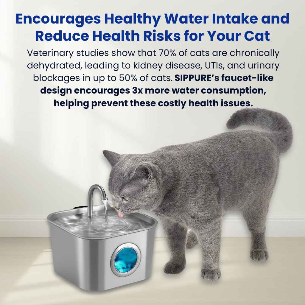 SIPPURE™ Stainless Steel Cat Water Fountain SIPPURE